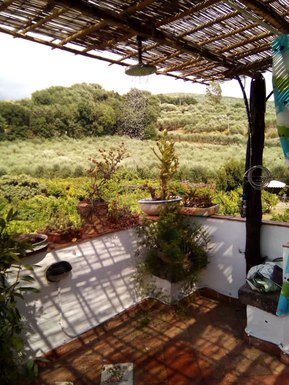 巴蒂帕利亚Masseria Sparano别墅 外观 照片