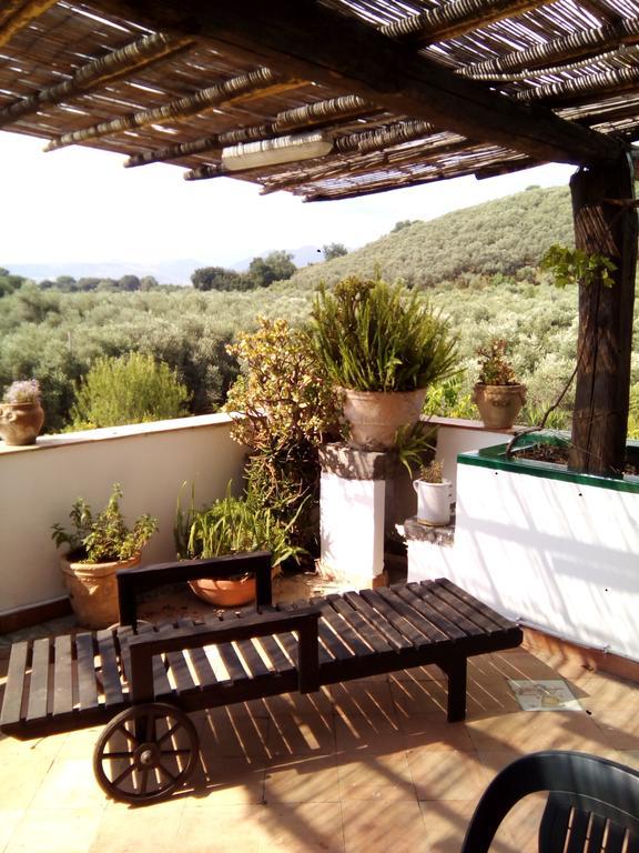 巴蒂帕利亚Masseria Sparano别墅 外观 照片