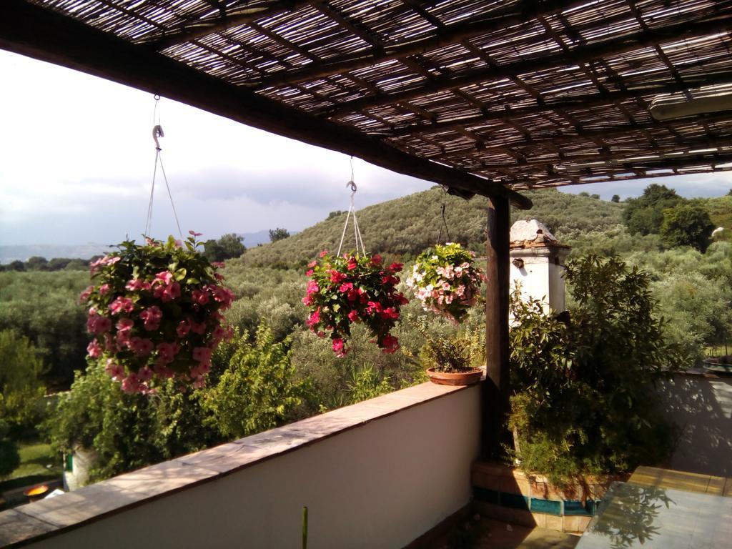 巴蒂帕利亚Masseria Sparano别墅 外观 照片