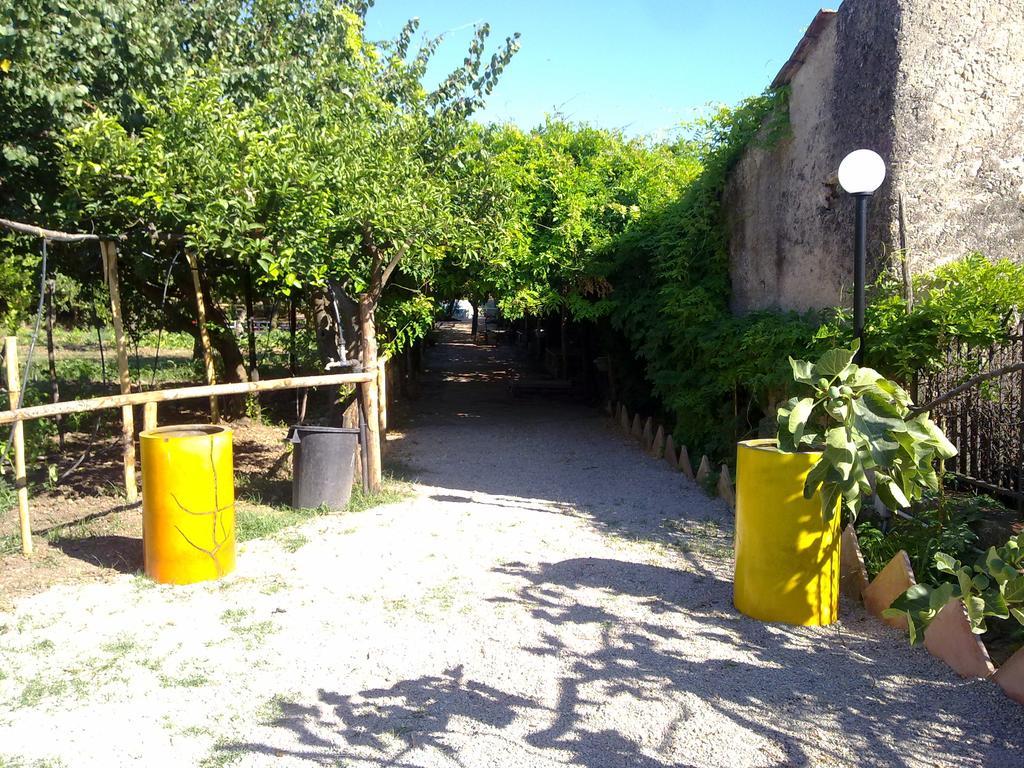巴蒂帕利亚Masseria Sparano别墅 外观 照片